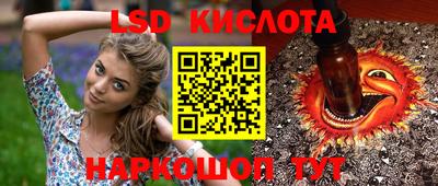 кокс Кингисепп