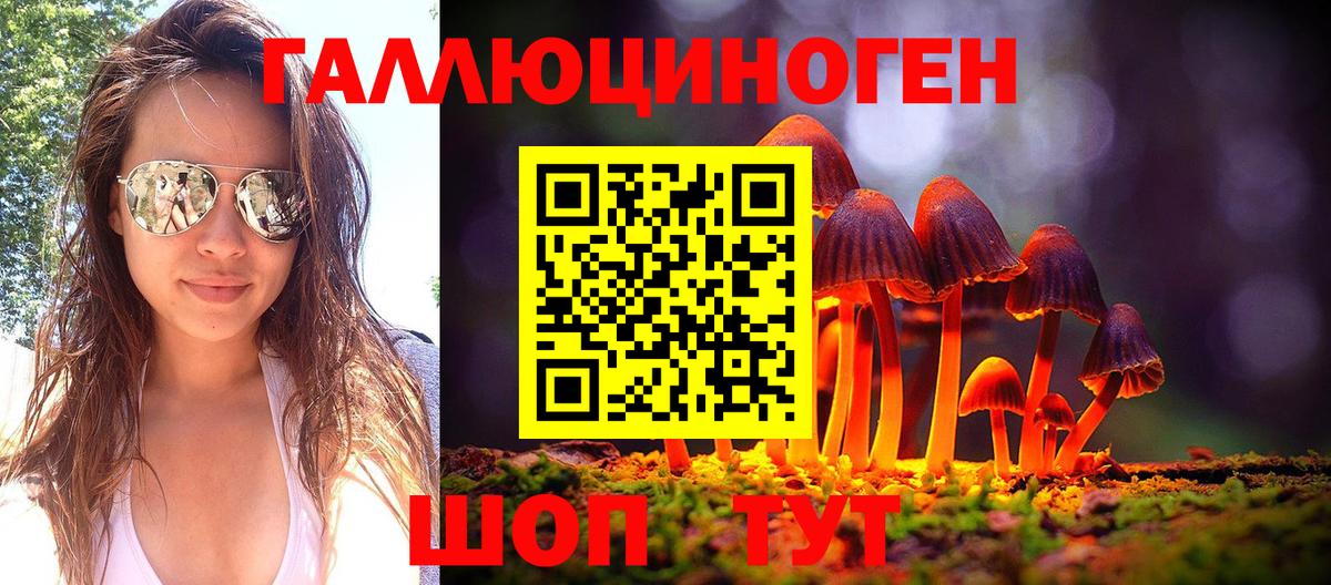 Галлюциногенные грибы Psilocybe Конаково